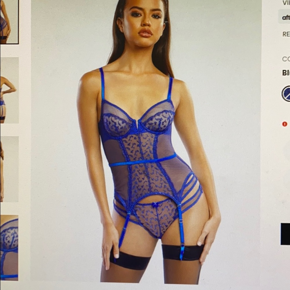 BNWOTSavageXFenty blue corset with sheer panels